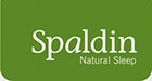 logo-spaldin-qd